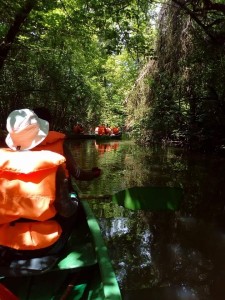 tisza-tavi vízitúra 59.jpeg